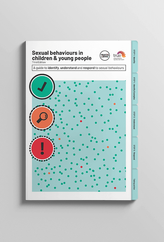 Traffic Lights Booklet Traffic Lights Booklet